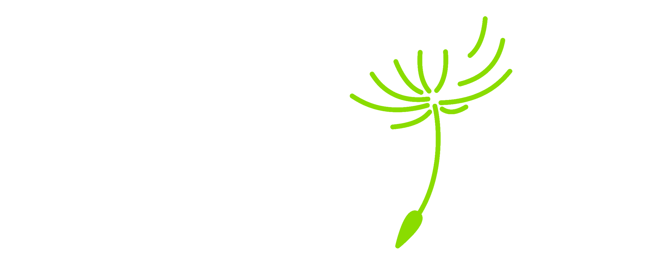Dandelion-bianco